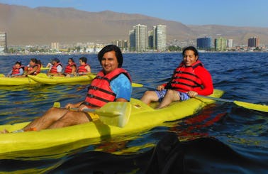 Canoe Rental in Iquique, Chile