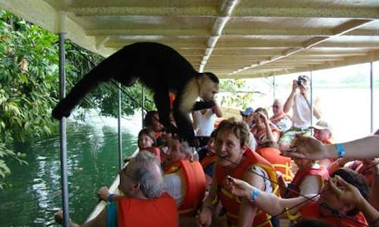 Passeios ecológicos de barco pelo canal no Panamá