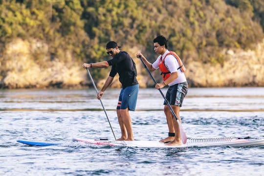 Leçon de stand up paddle 