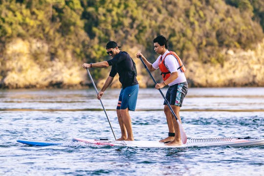 Stand Up Paddle Lesson 