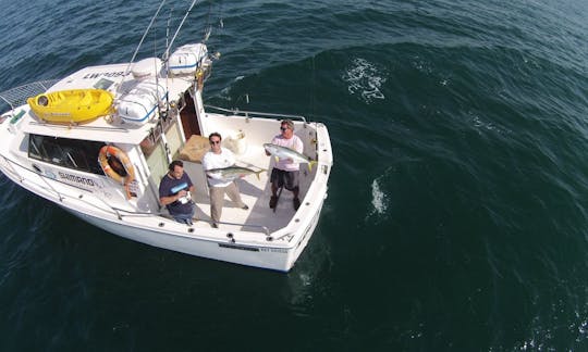 42' Marco Polo Sport Boat In Mar del Plata