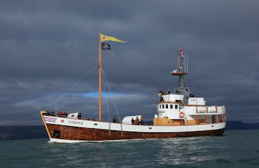 Charter a 93ft "Gardar" Trawler in Húsavík, Iceland