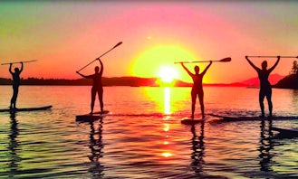 Stand Up Paddle Courses in Port de Pollença
