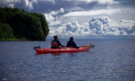 Excursion en kayak de mer sur le fjord de Reloncavi, au Chili