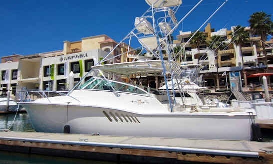 Fishing Charter On A 38' Albemarle Express In San José Del Cabo