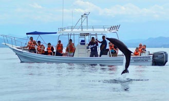 Exciting Whale Watching Tours in Mazatlán, Mexico for 10 person!