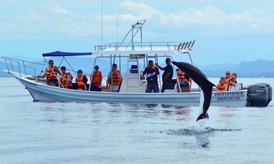 Exciting Whale Watching Tours in Mazatlán, Mexico for 10 person!