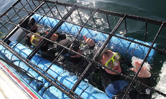 36' Shark Diving Boat In Gansbaai