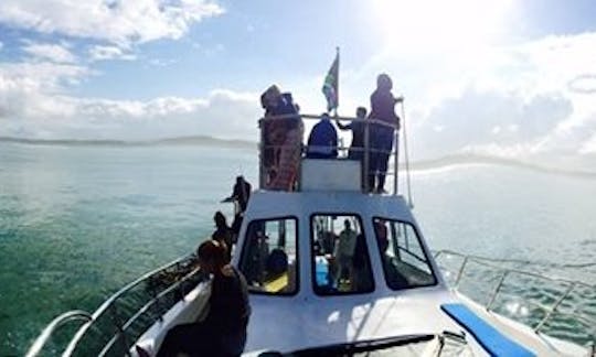 36' Shark Diving Boat In Gansbaai