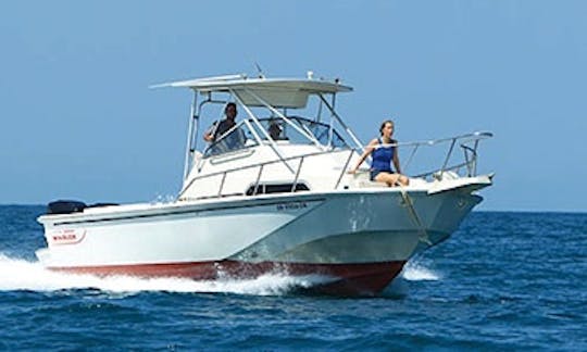 29' Walk Around "Frenesi" Charter in Organos, Peru