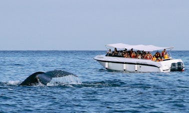Whale Watching Tour Boat in Organos, Peru