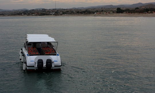 Whale Watching Tour Boat in Organos, Peru