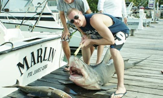 35' Bertram Fishing Boat in Cancún