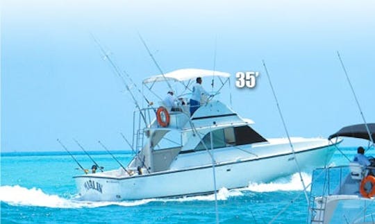 35' Bertram Fishing Boat in Cancún