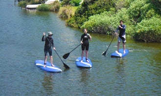 Learn the SUP Basic Lesson In Cape Town, South Africa