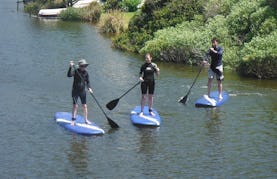 Learn the SUP Basic Lesson In Cape Town, South Africa