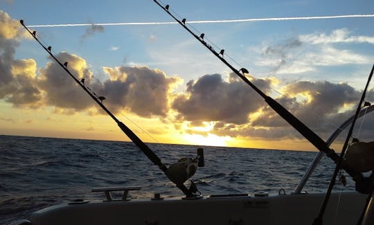 Location de yacht à moteur à Puerto de la Estaca