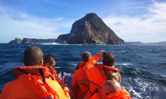 RIB Tour and Rental In Cape Town