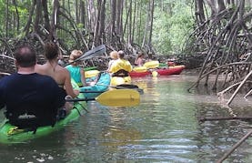Kayak Tour In Dominical
