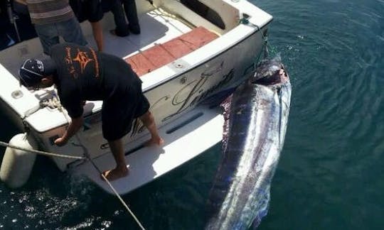 Viagem de pesca com o capitão Stephan na Costa Adeje, Espanha