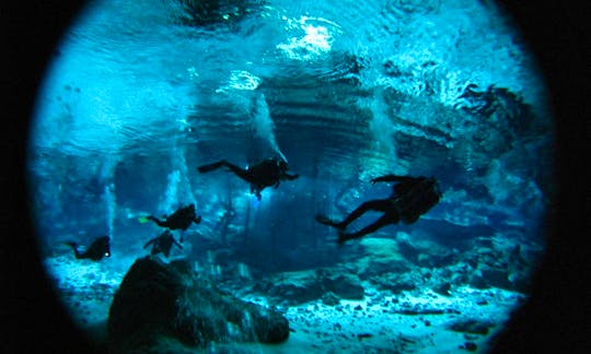 Diving Expeditions in Cenotes, Mexico