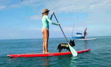 Passeios de stand up paddle em Puntas