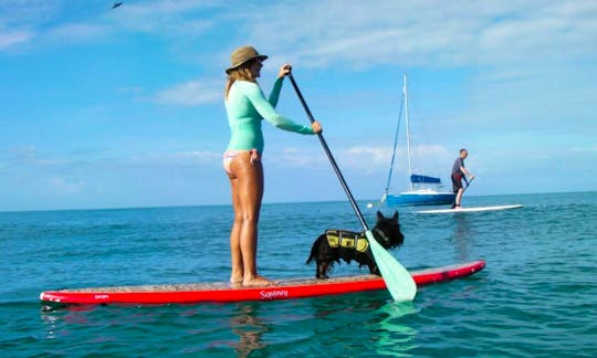 Stand Up Paddle Tours In Puntas