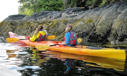 Excursions en kayak à Vieques, Porto Rico