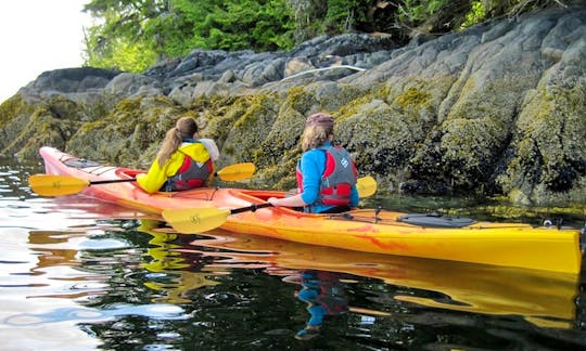 Kayak Tours in Vieques, Puerto Rico