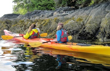 Kayak Tours in Vieques, Puerto Rico