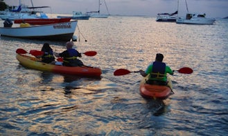 Kayak Rental In La Parguera