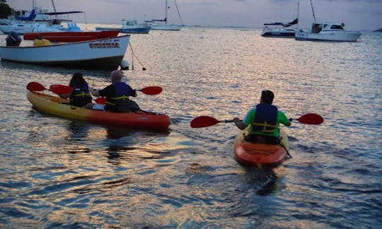 kayak rental and free life in Parguera