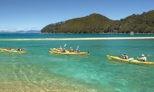 Beach Day & Kayaking in Bay Islands, Honduras