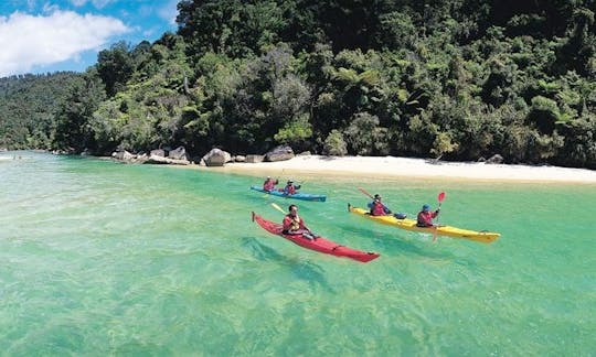 Beach Day & Kayaking in Bay Islands, Honduras