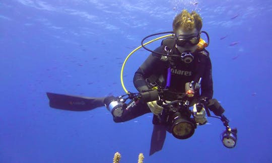 Fun Diving, Snorkeling  Courses in Bay Islands