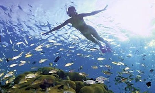 Private Snorkeling Trip By Boat in Coxen Hole, Honduras