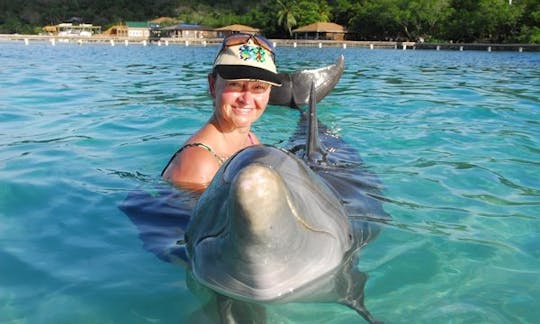 Private Snorkeling Trip By Boat in Coxen Hole, Honduras