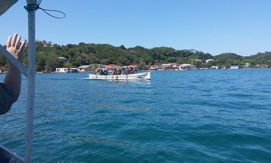 Fun-Filled Boat Tour in Coxen Hole, Honduras