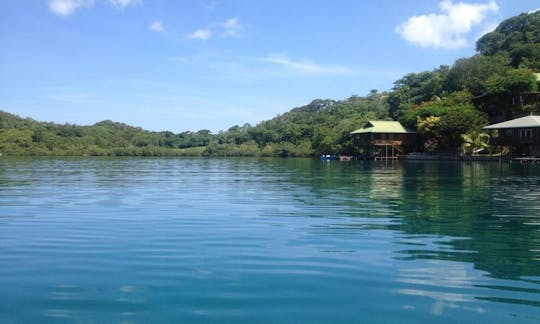 Fun-Filled Boat Tour in Coxen Hole, Honduras