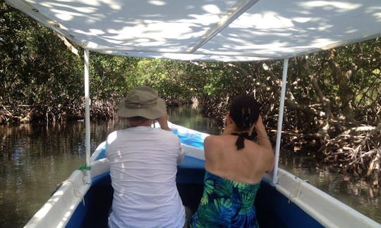 Island Tours in Coxen Hole, Honduras