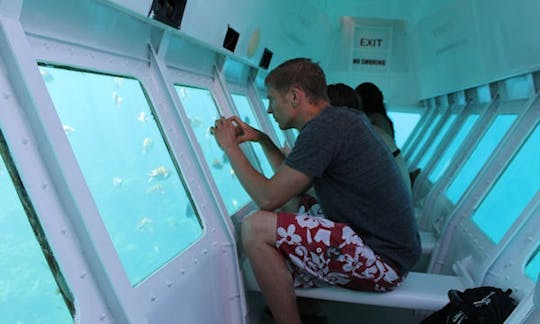 Glass-bottom boat tour in Coxen Hole, Honduras