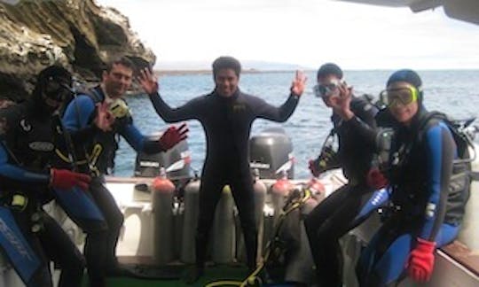 Scuba Diving Charter in Puerto Ayora