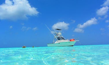 Carta de pesca em 31 pés “Why Knot?” Iate Sport Fisherman em Cozumel, México