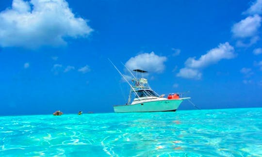 Fishing Charter On 31ft ''Why Knot?'' Sport Fisherman Yacht in Cozumel, Mexico