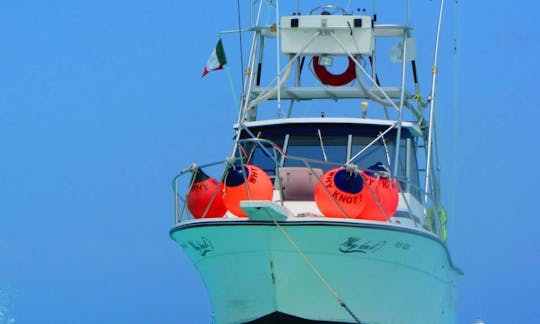 Fishing Charter On 31ft ''Why Knot?'' Sport Fisherman Yacht in Cozumel, Mexico