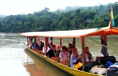 Jungle Boat Tour In Bolivia
