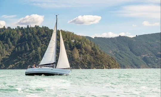 32' Sailing Yacht Trips In Te Mahia