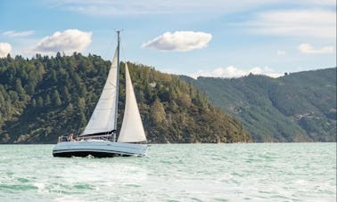 Passeios de iate à vela de 32 pés na Mahia