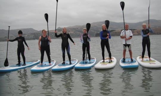 Paddleboard Rental in Christchurch, New Zealand