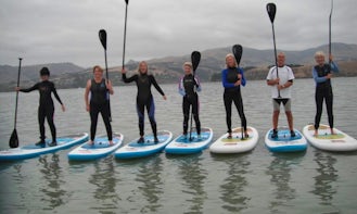 Paddleboard Rental in Christchurch, New Zealand